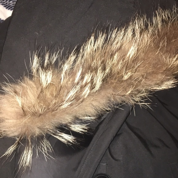 Canada Goose Bomber Fur - Picture 3 of 8